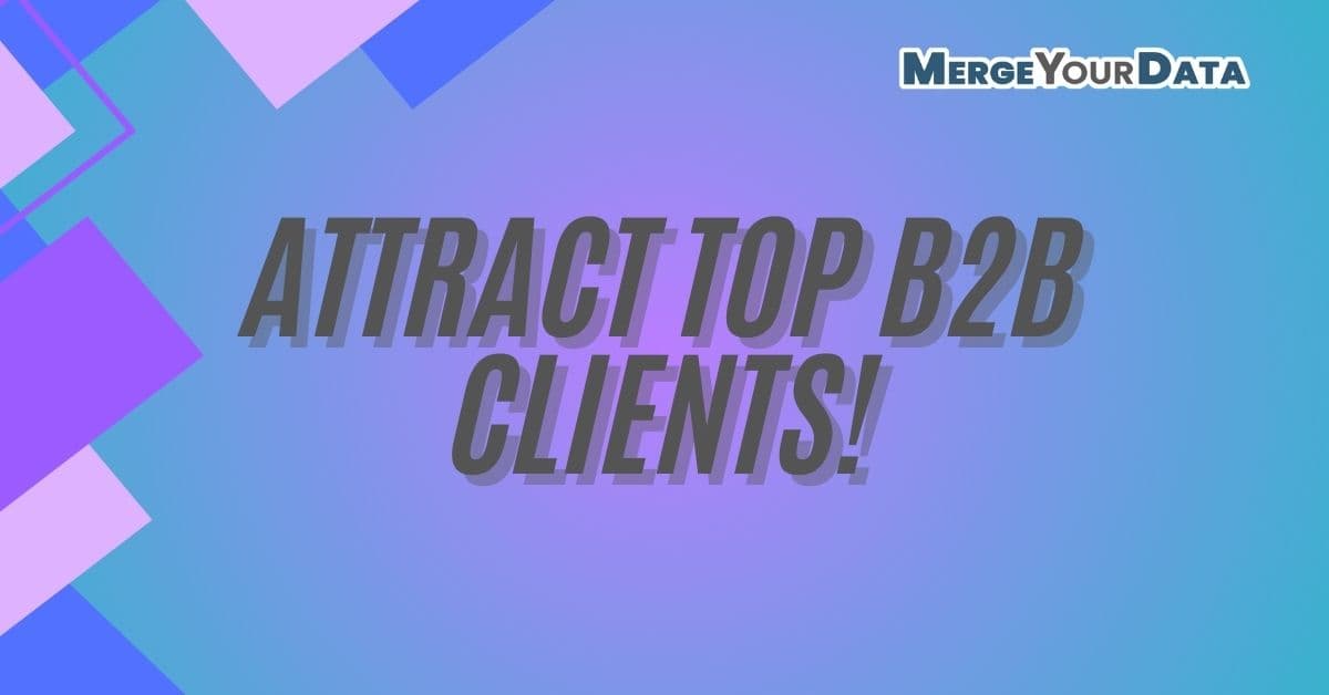 The Ultimate Guide to Attracting High-Quality B2B Clients
